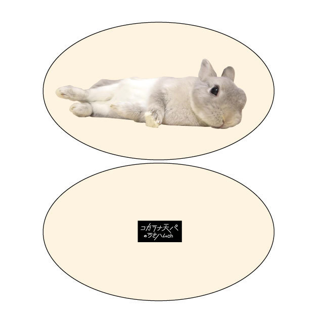 ぽぽちゃんのぐで~んくっしょん