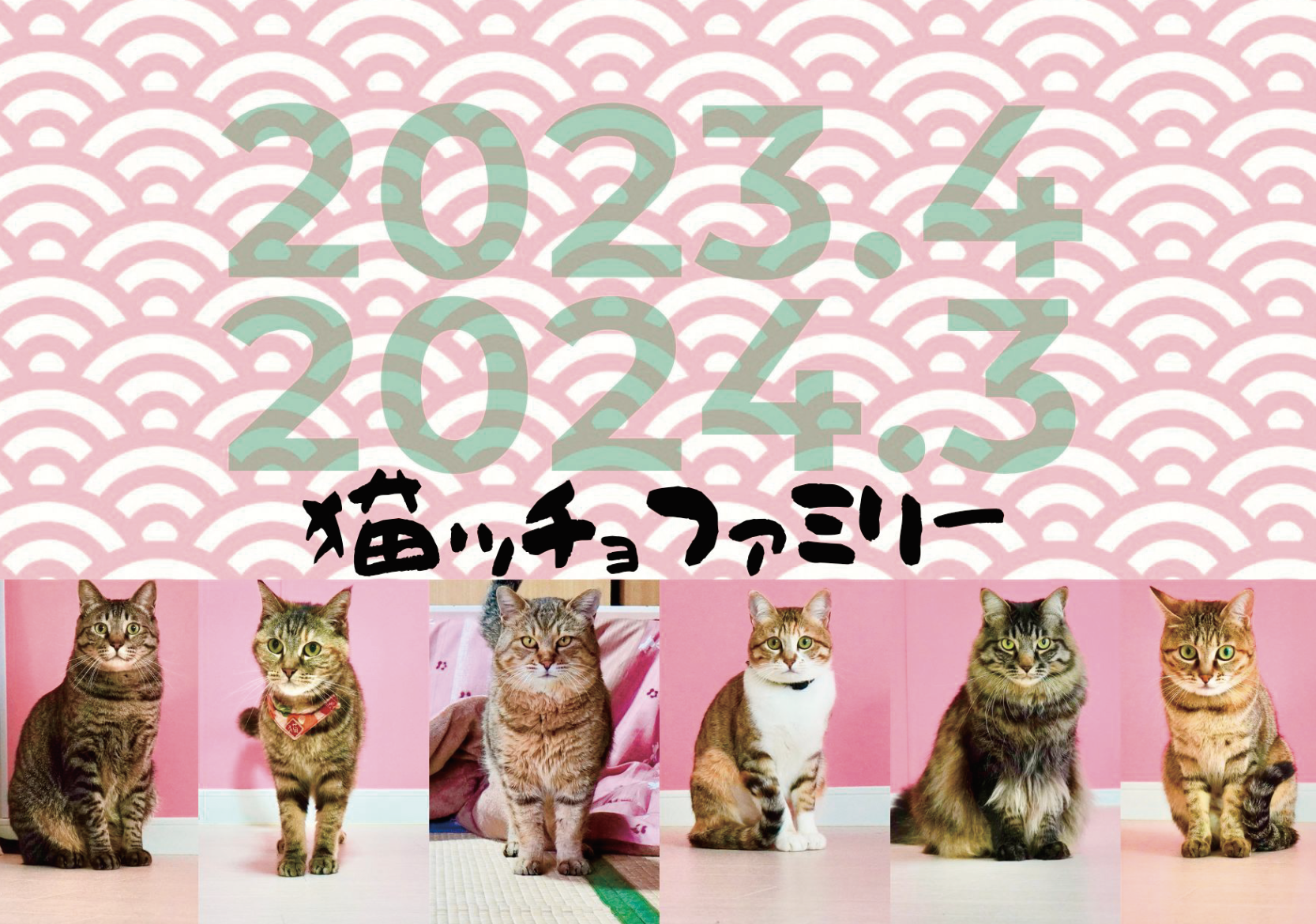 【受注商品】初グッズ!!!_猫ッチョファミリーオリジナルカレンダー