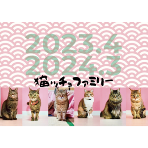 【受注商品】初グッズ!!!_猫ッチョファミリーオリジナルカレンダー