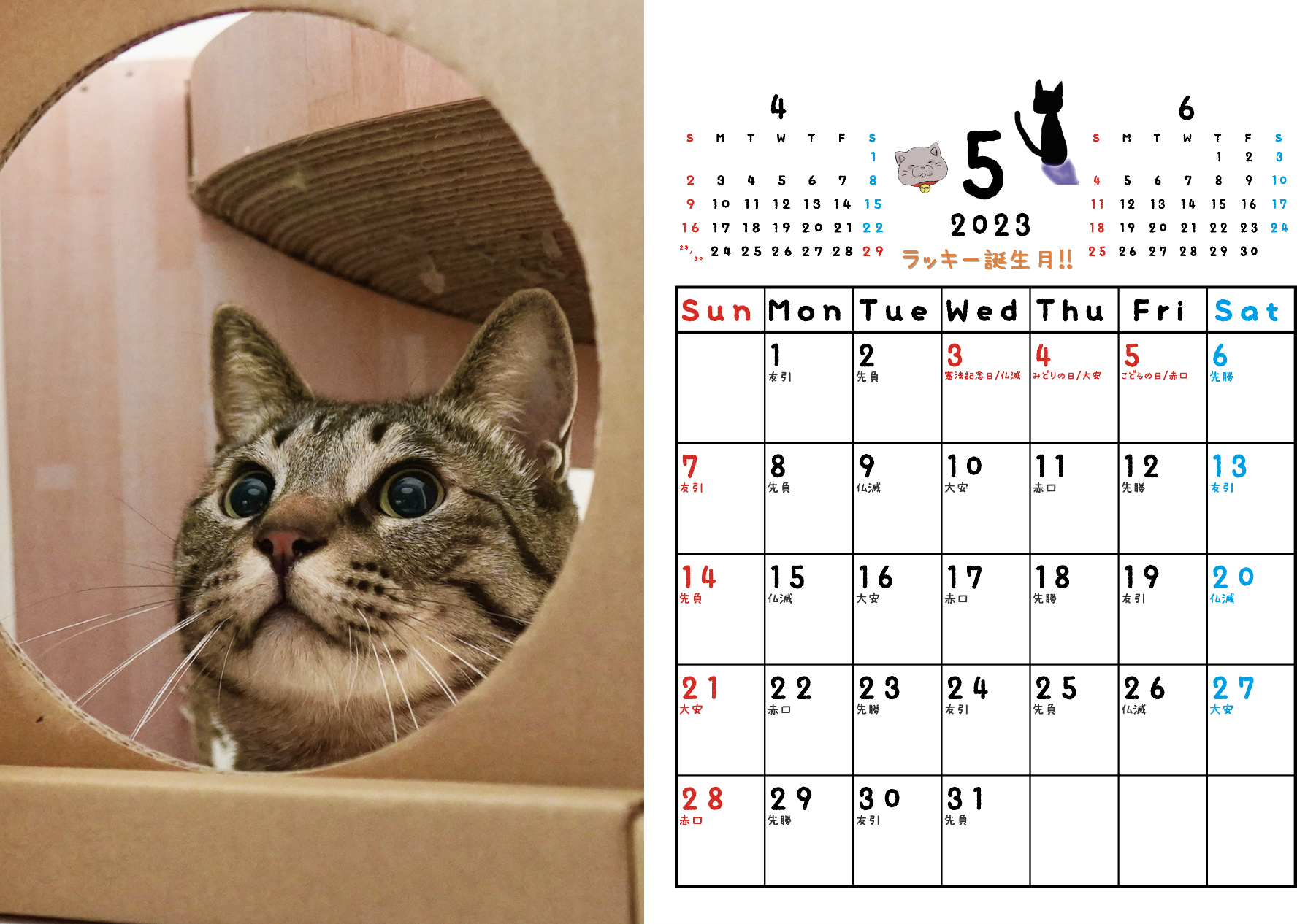 【受注商品】初グッズ!!!_猫ッチョファミリーオリジナルカレンダー