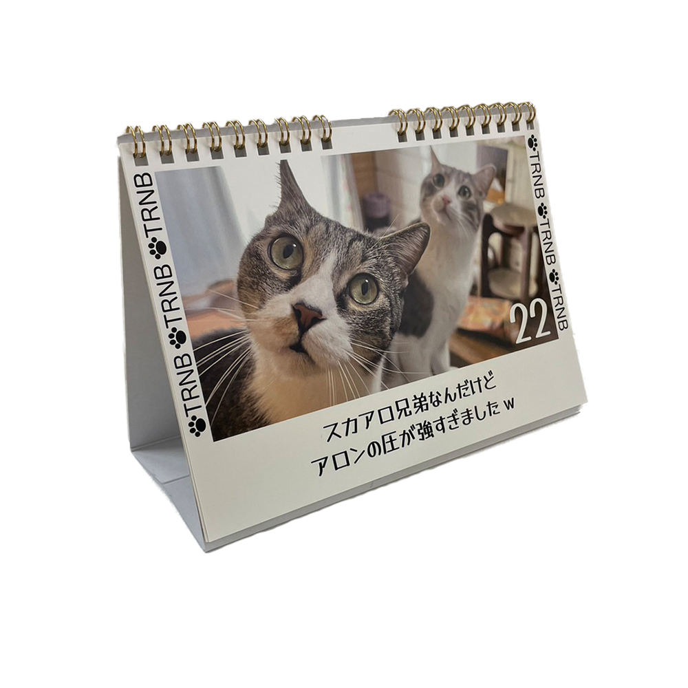 【受注商品】めくって!!!TRNBカレンダー