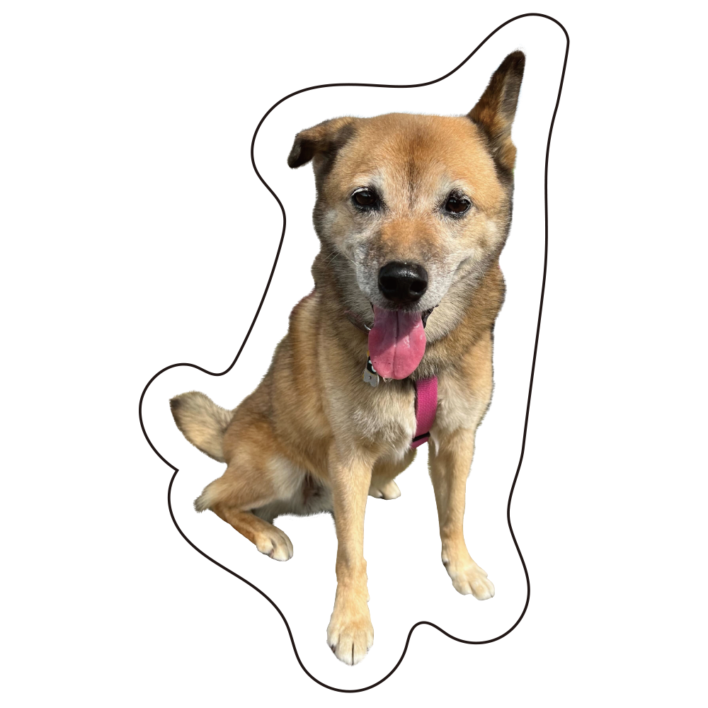 コロちゃんとタチバナさんのステッカーセット(3枚入り) | タチバナさん