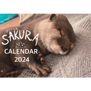 【受注商品】カワウソさくら  2024年 卓上カレンダー