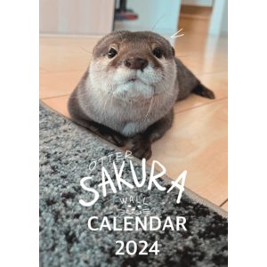【受注商品】カワウソさくら  2024年 壁掛けカレンダー