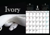 【受注商品】真夜中のビバリウム2024年カレンダー