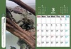 【受注商品】真釣ちゃんねる2024年卓上カレンダー