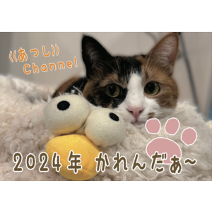 【受注商品】《あつし》Channel 2024年かれんだぁ〜（卓上ver.）
